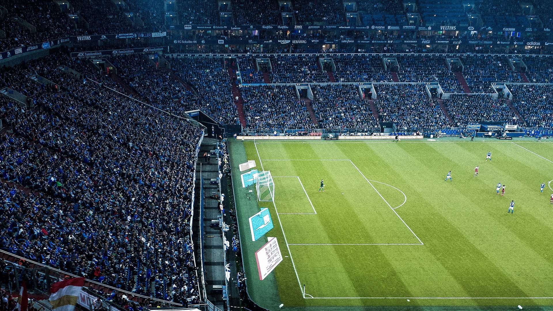 深圳绝境逢生，霍勒迪破纪录之夜，一场定义坚韧的险胜